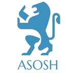 Business logo of ASHOS