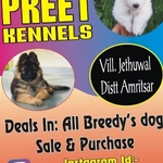 Business logo of Preet Dog Sale Purchase