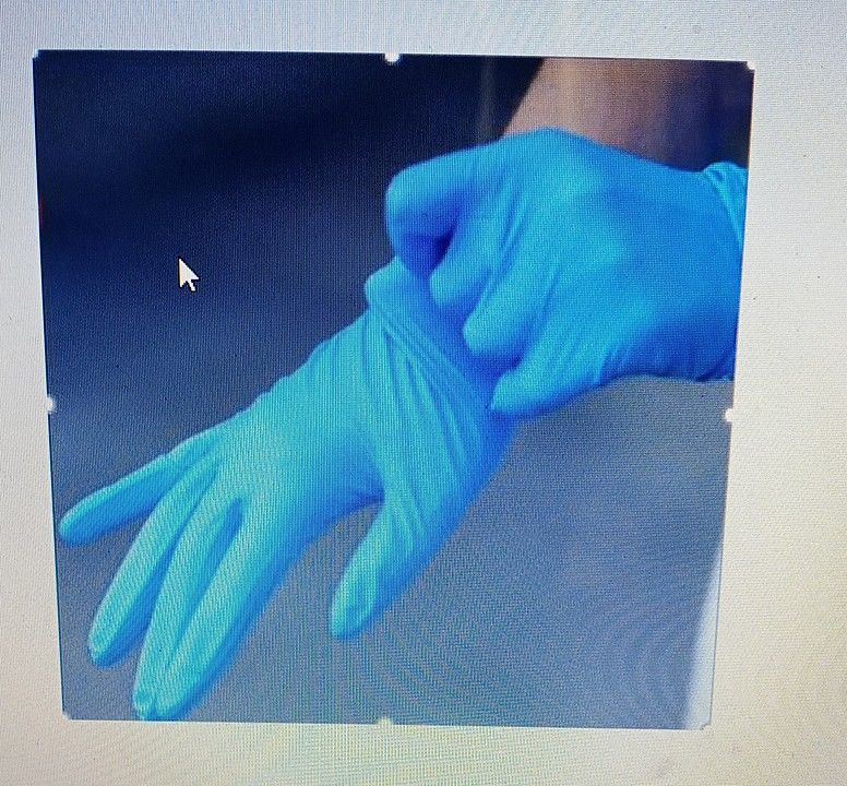 Examination and Nitrile Gloves uploaded by business on 6/3/2020