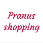 Business logo of Pranus shopping