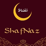Business logo of SHAFNAZ FASHION'S