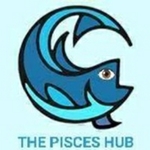 Business logo of The Pisces Hub