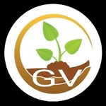 Business logo of The Green Vatika
