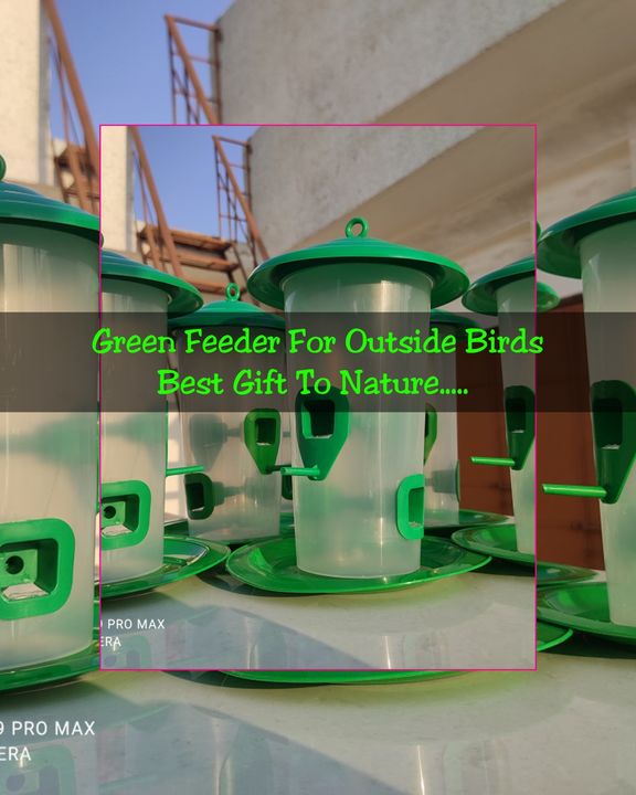 Food Feeder for Sparrow / Exotic Birds / Outsider Birds uploaded by Shivshakti Provision Store on 10/19/2021