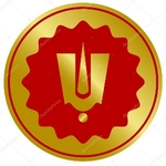 Business logo of NJ papad