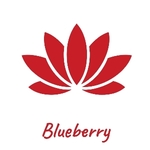Business logo of Blueberry
