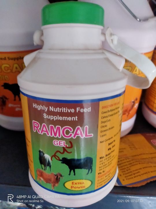 RAMCAL GEL 2ltr uploaded by Jay Ramadhani Private Limited  on 10/20/2021