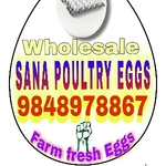 Business logo of SANA POULTRY EGGS