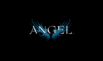 Business logo of Angel fashion collection