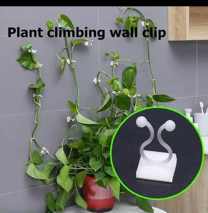 Post image I want 500 Pieces of I want to buy plant fastners.
Below is the sample image of what I want.