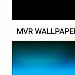 Business logo of MVR wallpaper