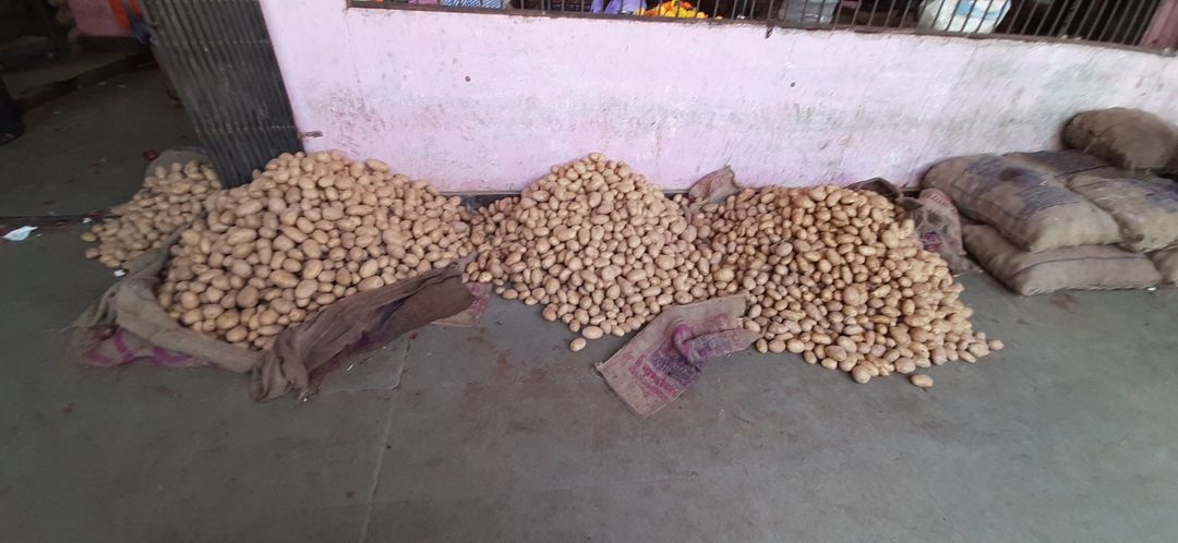 Agra potato uploaded by business on 10/23/2021