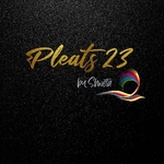 Business logo of Pleats 23 Designer boutique and stu