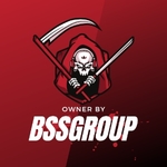 Business logo of BSSGROUPi