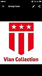Business logo of Vian Collection 