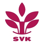 Business logo of SVK FASHION TRADES