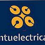 Business logo of Pintu Electricals