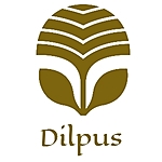Business logo of Dilpus