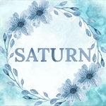 Business logo of SATURN'S STORE based out of South West Delhi