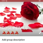 Business logo of Rose petals