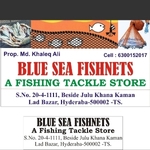 Business logo of Blue sea fishnets