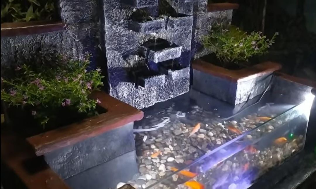 Fish Aquarium Waterfall uploaded by business on 11/4/2021