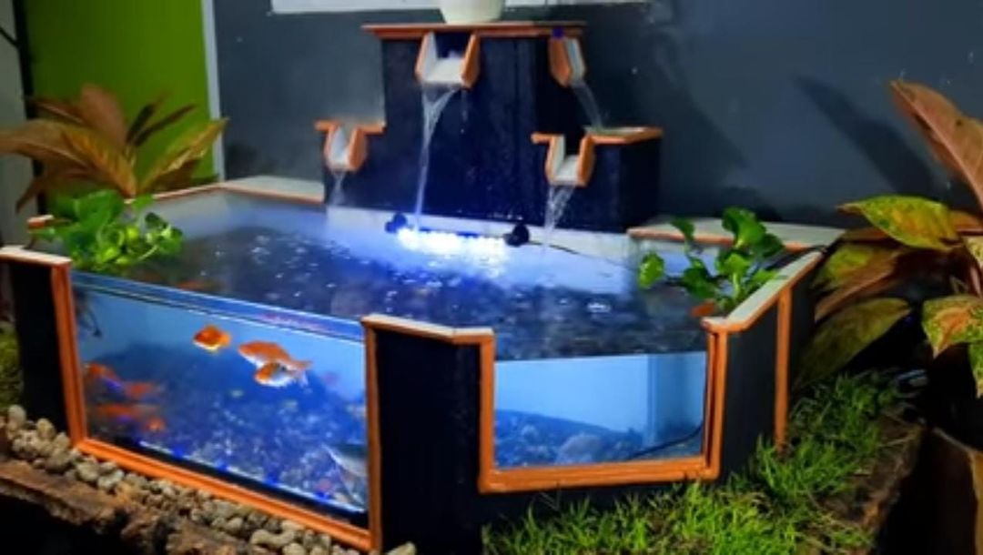 Aquarium fish tank uploaded by business on 11/4/2021