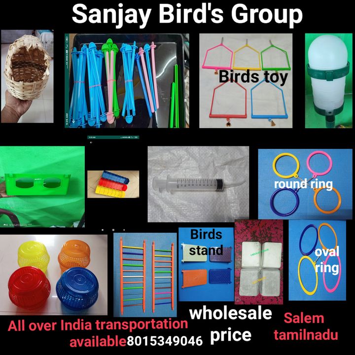 Birds accessories uploaded by business on 11/4/2021