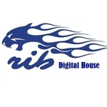 Business logo of rib Digital House