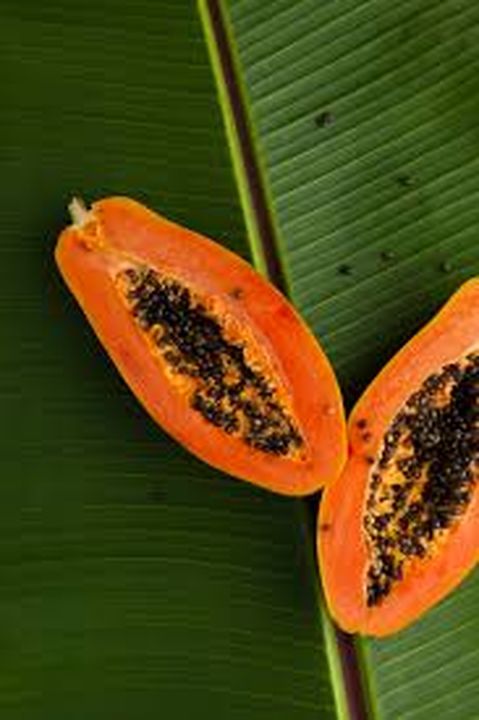 Fresh Fruity Papaya Face wash uploaded by business on 11/6/2021