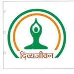 Business logo of Divyajivan Ayurveda Private Limited