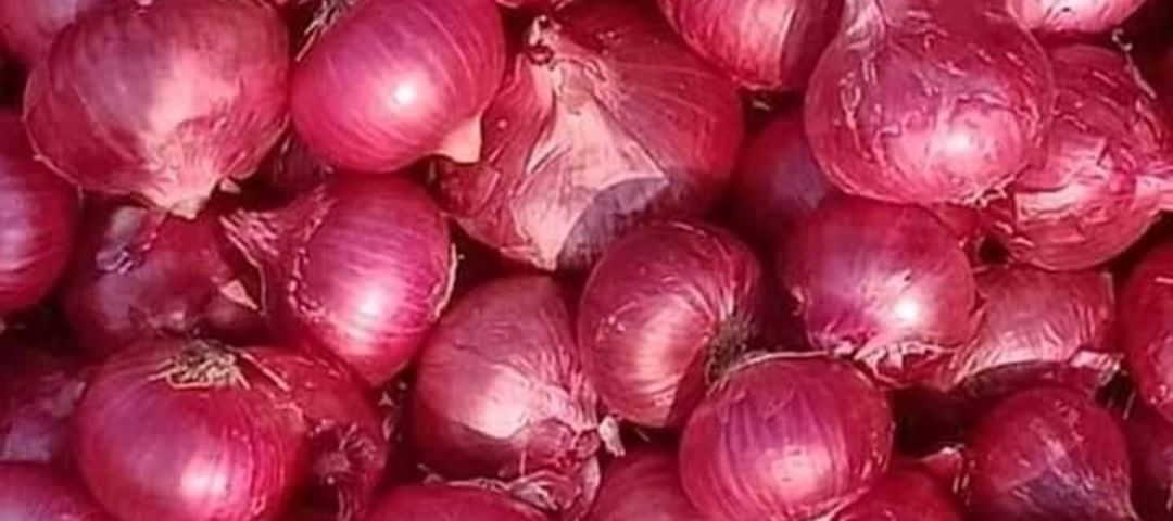 SHREYASH onion TRADING