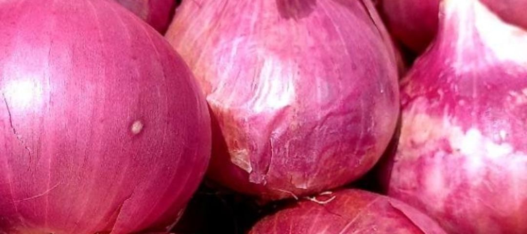 SHREYASH onion TRADING