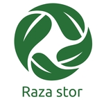 Business logo of Raza stor