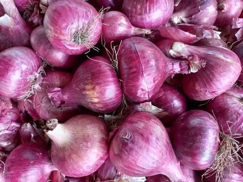 Onion uploaded by SHREYASH onion TRADING on 11/12/2021
