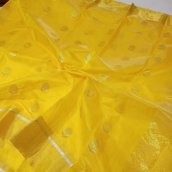 Chanderi cotton silk saree  uploaded by Chanderi sarees&suit on 11/12/2021