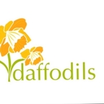Business logo of Daffodils