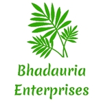 Business logo of Bhadauria Enterprises