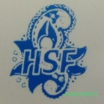 Business logo of Handloom Shawl Factory based out of Srinagar