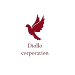 Business logo of DIOLLO CORPORATION