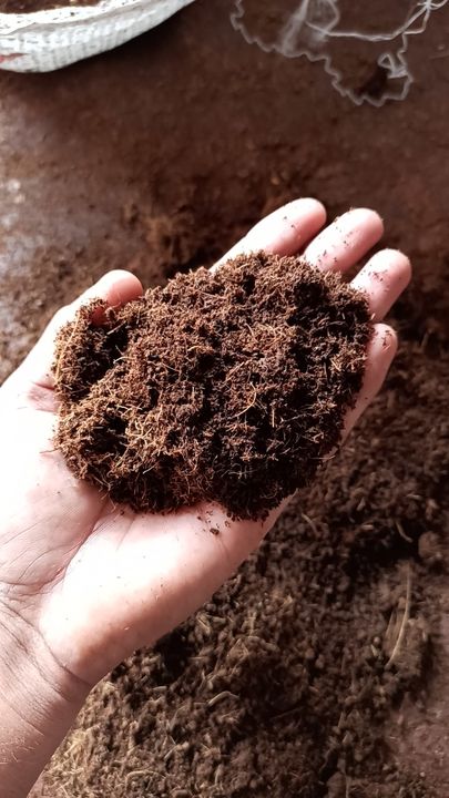 Cocopeat uploaded by Pure cocopeat on 11/17/2021
