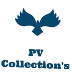Business logo of PV collection's