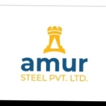 Business logo of Amur steel Pvt.ltd.