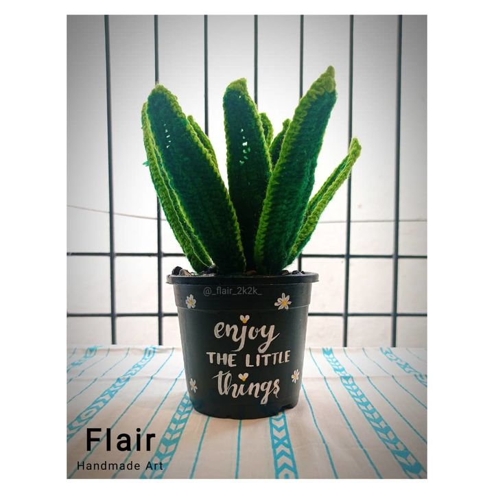 Woolen Snake plant uploaded by Flair on 11/19/2021