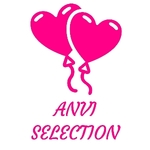 Business logo of Anvi selection