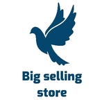 Business logo of Big selling store