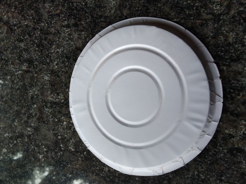 Silver paper plate uploaded by business on 11/20/2021