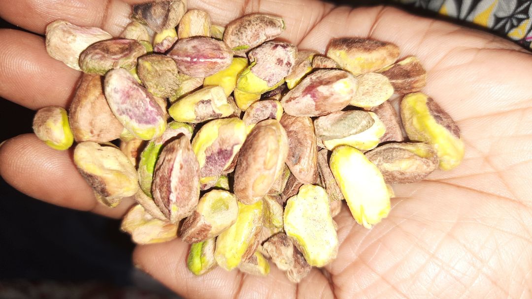 Plain pista  uploaded by Kshipra sri dry fruits and nuts on 11/20/2021