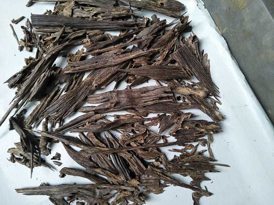 agar wood in assam uploaded by business on 6/5/2020
