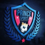 Business logo of PRINCE SPORTS INTERNATIONAL